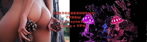 мяу мяу мука Балахна