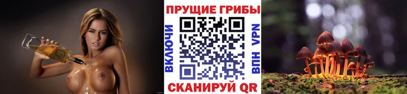 Псилоцибиновые грибы мицелий Оха