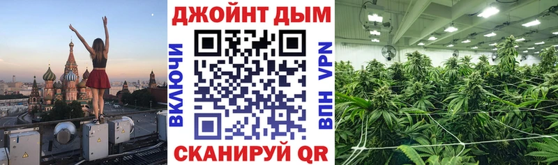 магазин    Оха  Марихуана сатива 
